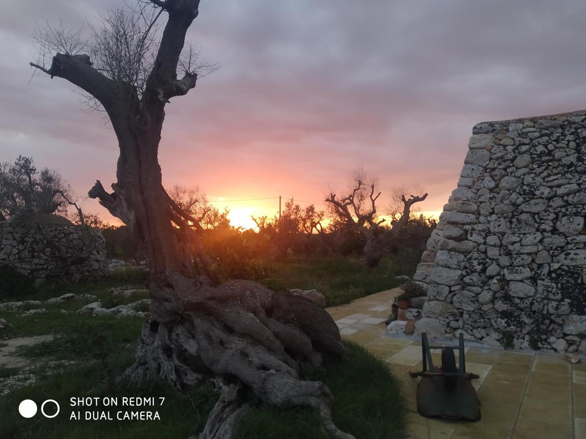 La Nicchia-Trullo Leilighet Corigliano dʼOtranto Eksteriør bilde